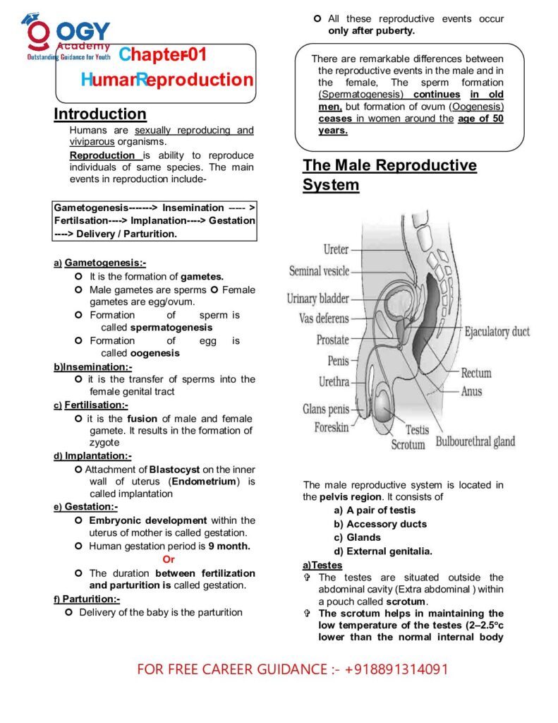 thumbnail of C1 & C2(Human reproduction & Reproductive health) _XII_CopyKJHJHJHJHJHJ